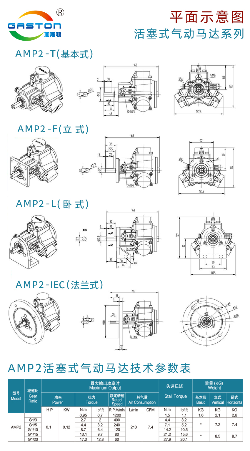 AMP-L_14.jpg