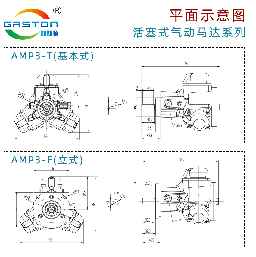 AMP3-T_14.jpg